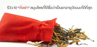 ถั่งเช่ายี่ห้อไหนดีที่สุด-รีวิว