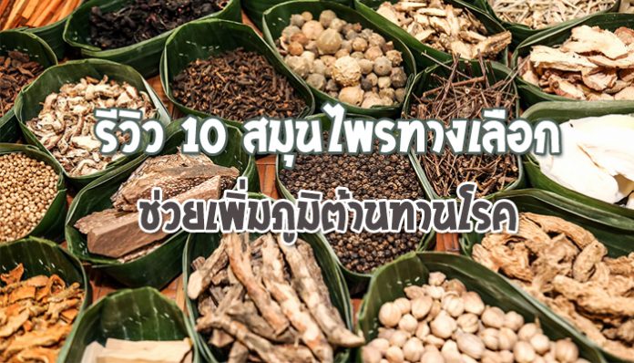 รีวิว-10-สมุนไพรทางเลือกช่วยเพิ่มภูมิต้านทานโรค